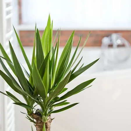 Apartamento R&b Poznan