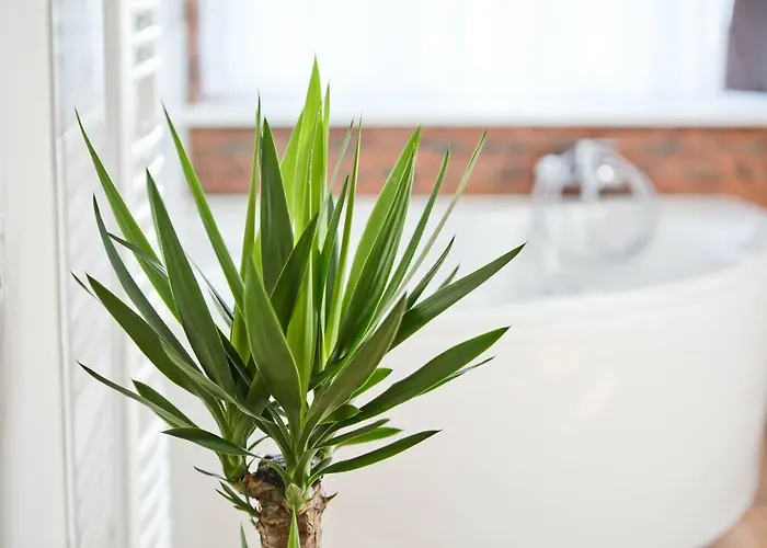 Apartamento R&b Poznań